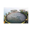 Product Importer Gallery 01 · 53b88258bf