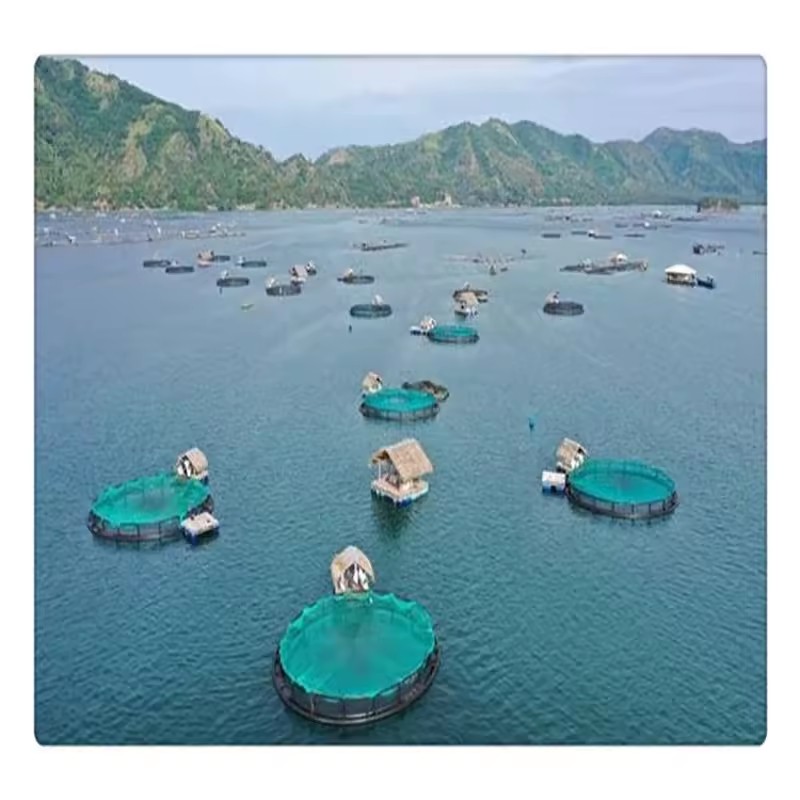 Product Importer Gallery 05 · b4a9f7e415