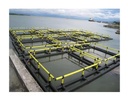 Product Importer Gallery 04 · 6f6ecf4a5e
