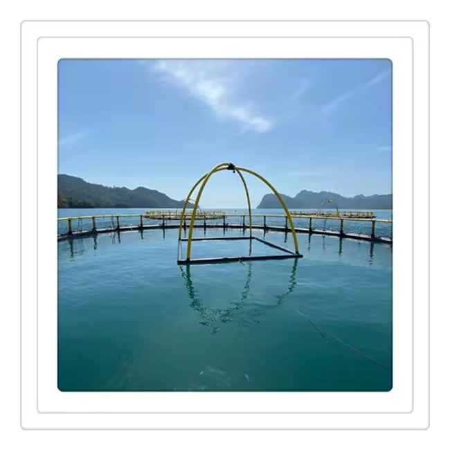 Product Importer Gallery 04 · 2e90d914f2