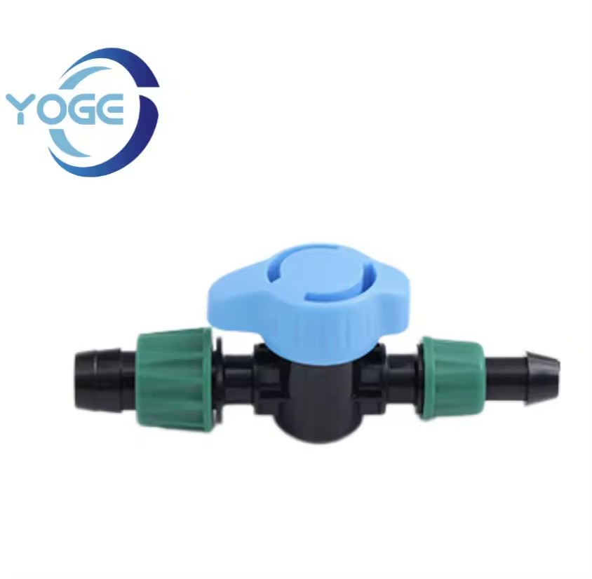 Product Importer Gallery 03 · cbed249394