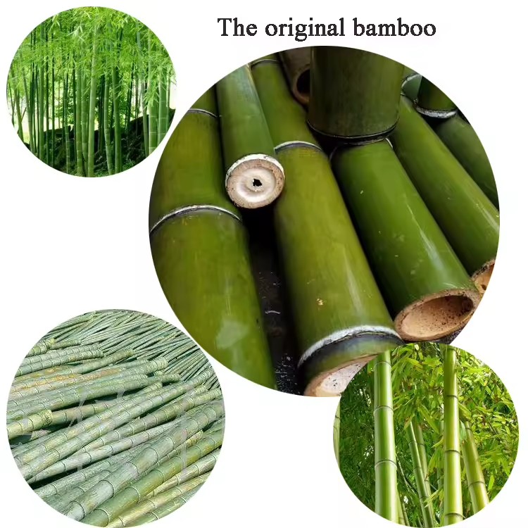 Product Importer Gallery 03 · 583377e633
