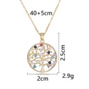 Product Importer Gallery 05 · 17248d806c