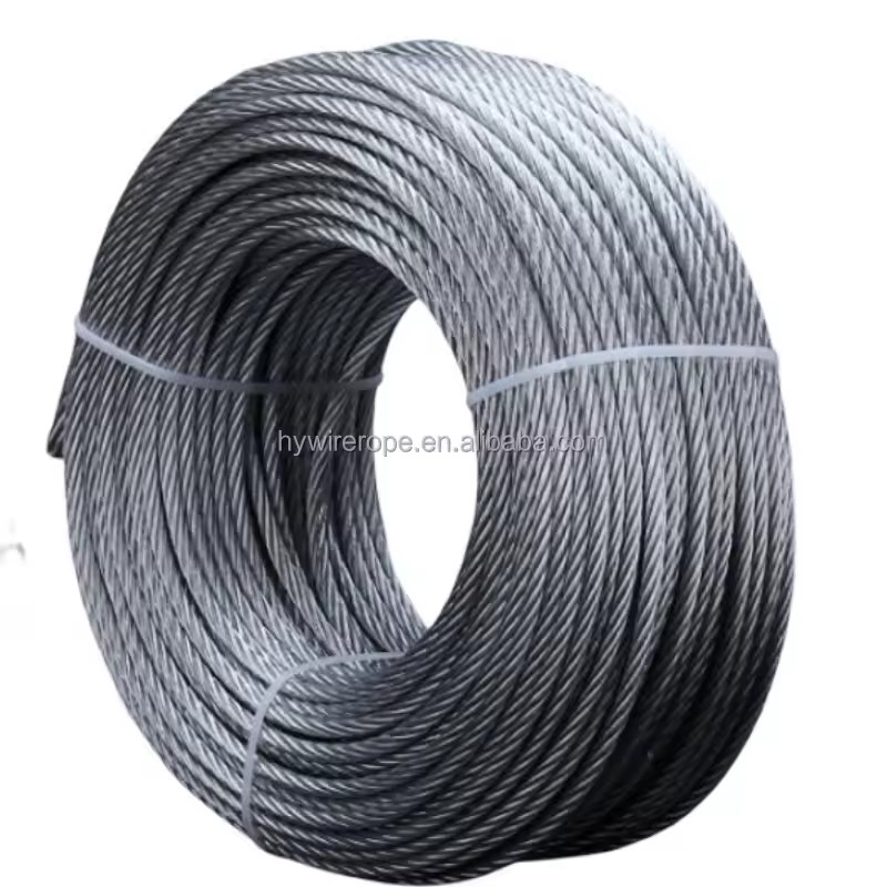 Product Importer Gallery 03 · 019a1e625c