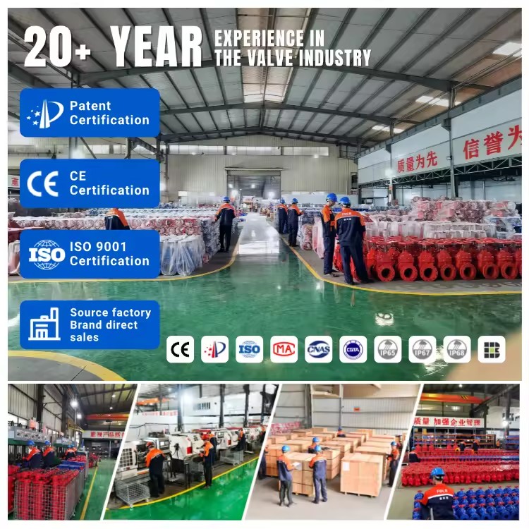 Product Importer Gallery 05 · f7e8c06351