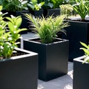 Product Importer Gallery 01 · 47668200ee