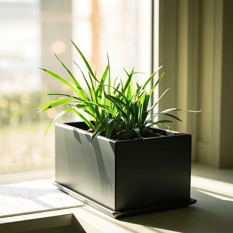 Product Importer Gallery 02 · d3dbafb0f7