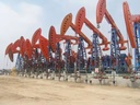 Product Importer Gallery 02 · 02b4760579