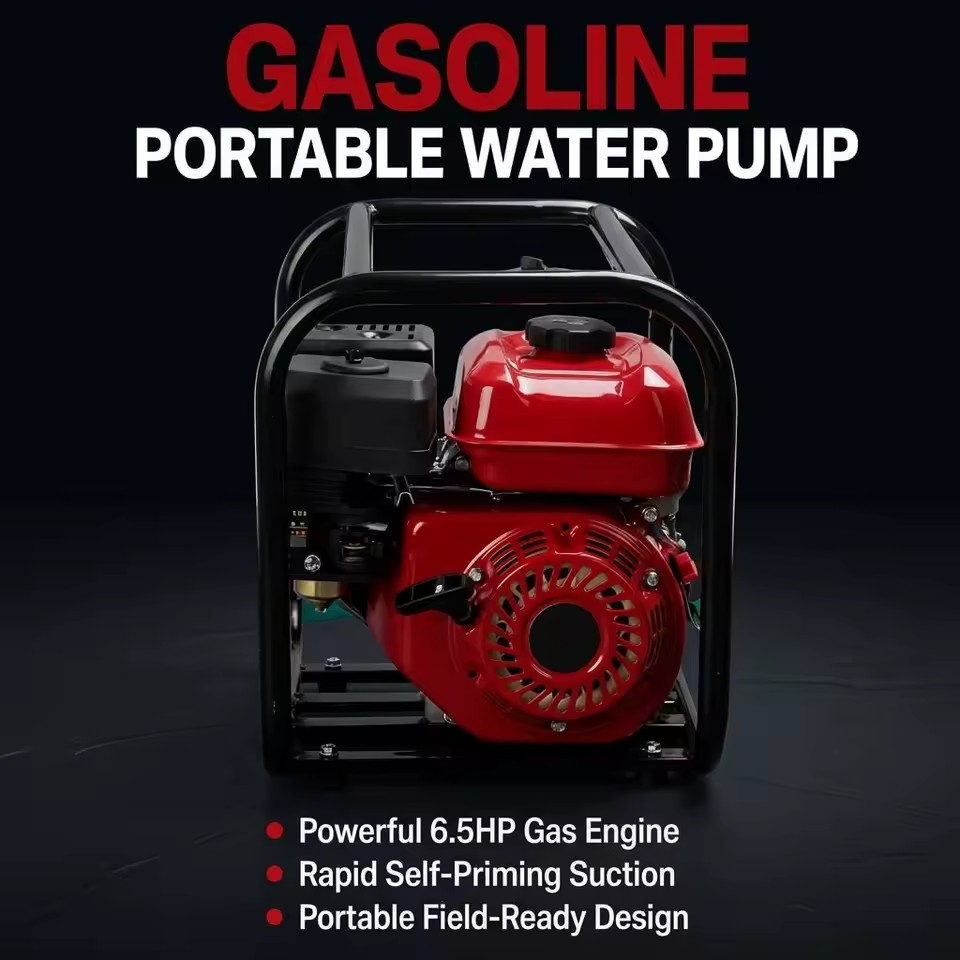 Product Importer Gallery 04 · b30a8e718f