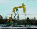 Product Importer Gallery 02 · 41614a7f33
