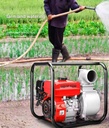 Product Importer Gallery 02 · b75f2c888a