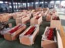 Product Importer Gallery 01 · 42de103418