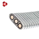 Product Importer Gallery 05 · 29709ebe3e