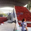 Product Importer Gallery 02 · f5cbabb49d