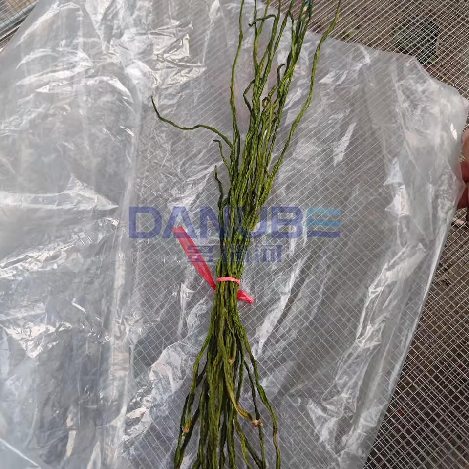 Product Importer Gallery 05 · e203d5916f