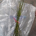 Product Importer Gallery 05 · e203d5916f