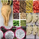 Product Importer Gallery 05 · 82b11b003e