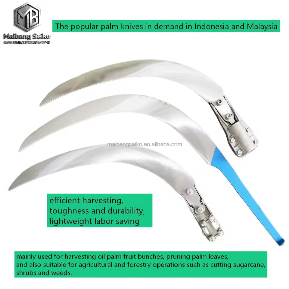Product Importer Gallery 05 · ec33704609