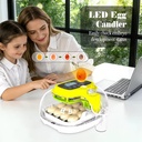 Product Importer Gallery 01 · 585d173280