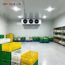 Product Importer Gallery 06 · 8fae422a83