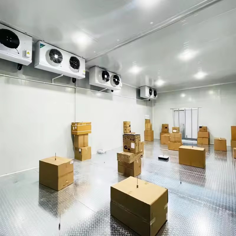Product Importer Gallery 01 · e4e3efd9a6