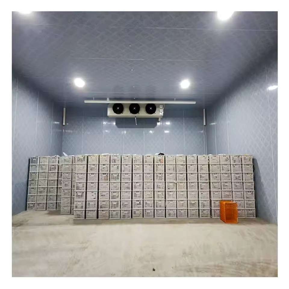 Product Importer Gallery 02 · 5500a8519e