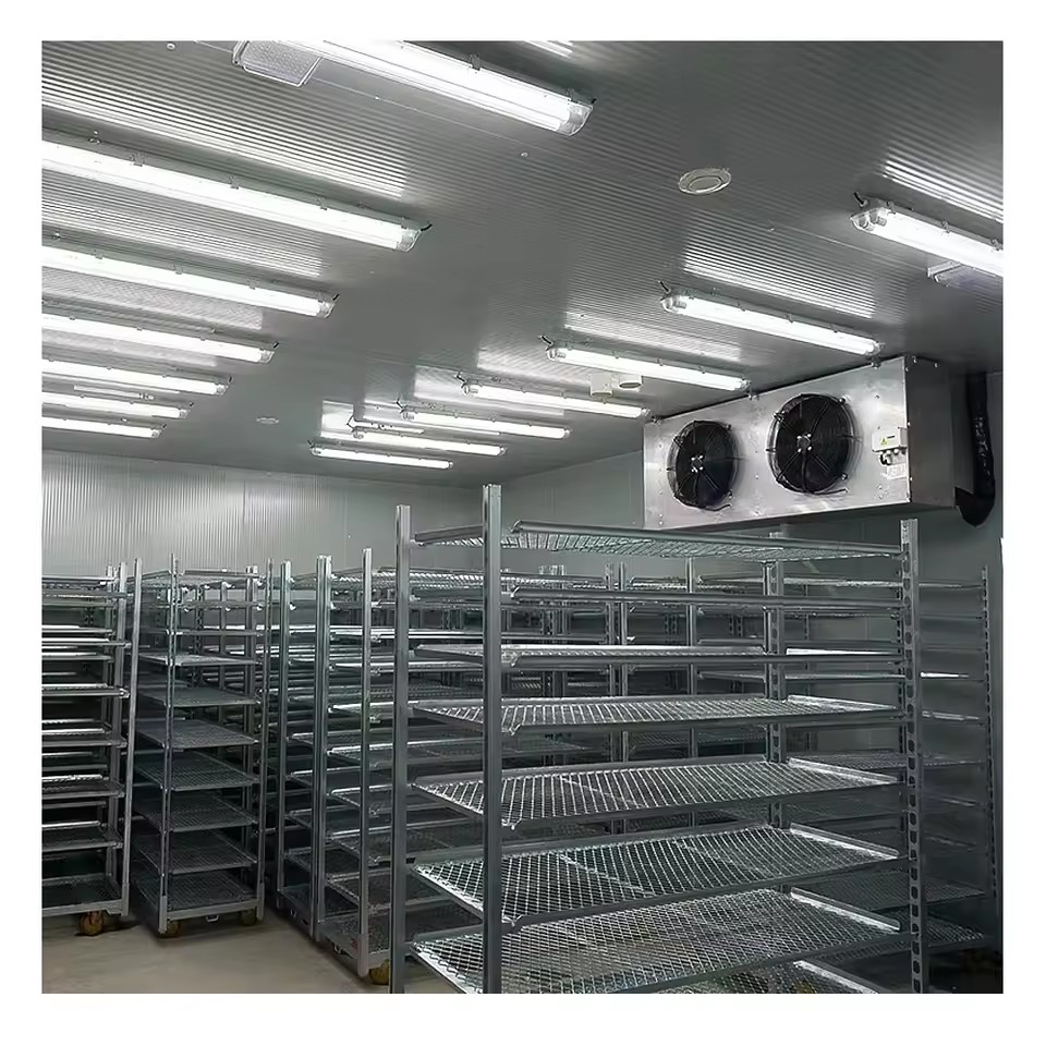 Product Importer Gallery 04 · 5d1afd3fff