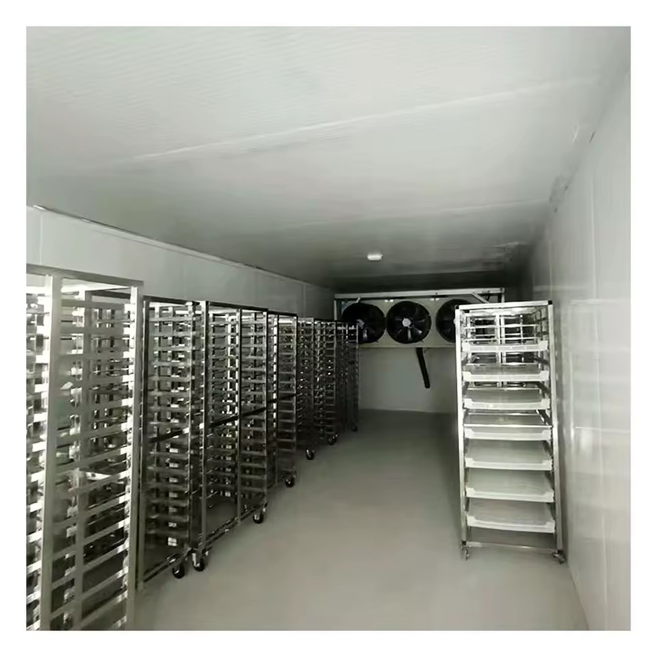 Product Importer Gallery 02 · 774507cfb7