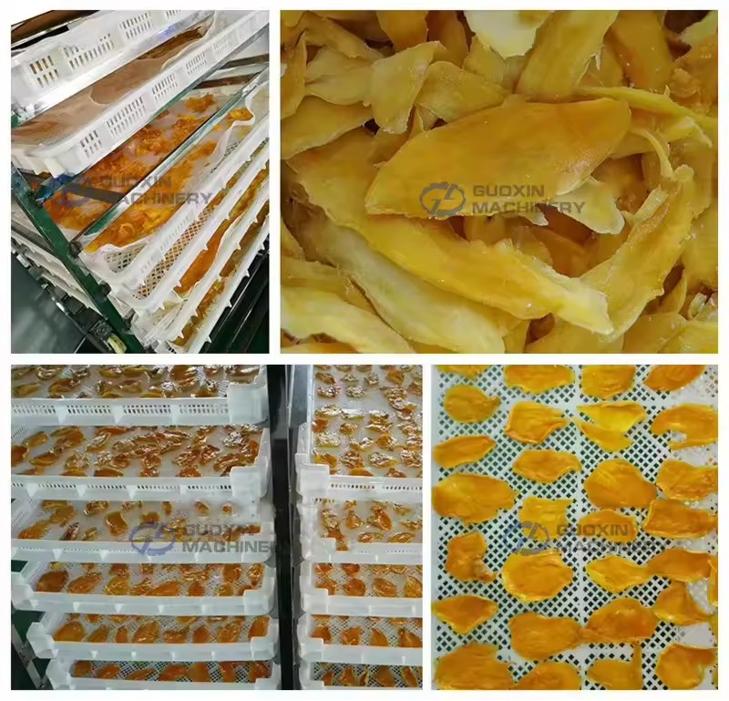 Product Importer Gallery 02 · 818f546adc