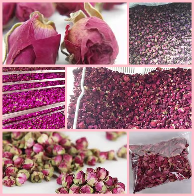 Product Importer Gallery 02 · a3e9a279ac