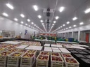 Product Importer Gallery 04 · ca41c2583b