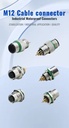 Product Importer Gallery 03 · 26cb3cb846
