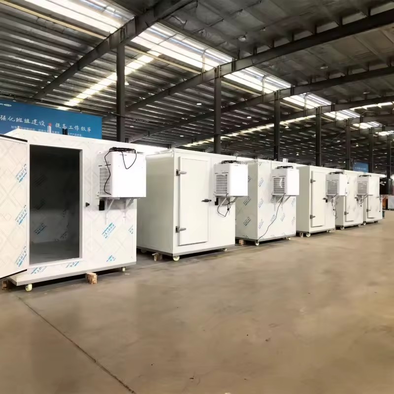 Product Importer Gallery 02 · b7879ff3c7
