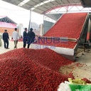 Product Importer Gallery 05 · bacd6f005a