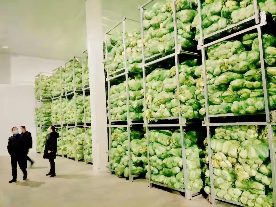 Product Importer Gallery 04 · 82a805d1fd
