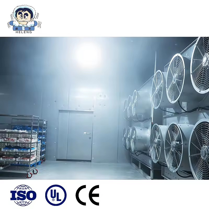 Product Importer Gallery 01 · 0c1846336d