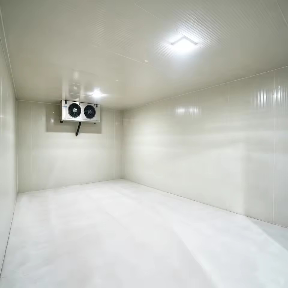 Product Importer Gallery 01 · 38d06b93b0