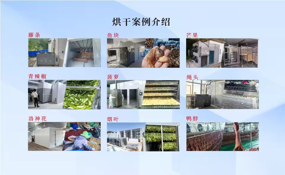 Product Importer Gallery 04 · b6e8e4143d