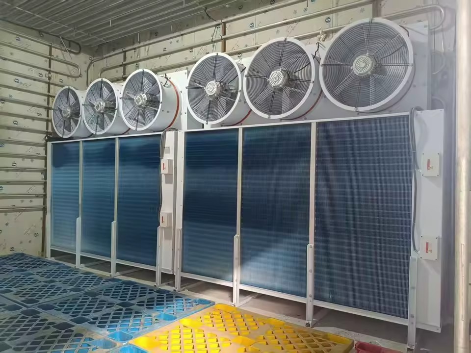 Product Importer Gallery 05 · b750383669