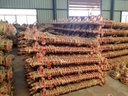 Product Importer Gallery 01 · bb158669a7