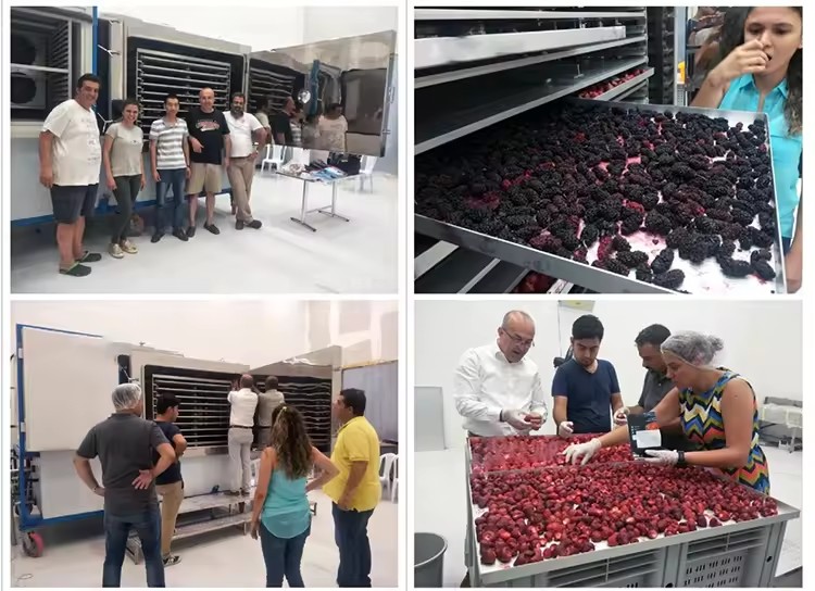 Product Importer Gallery 05 · 97ef1d056f