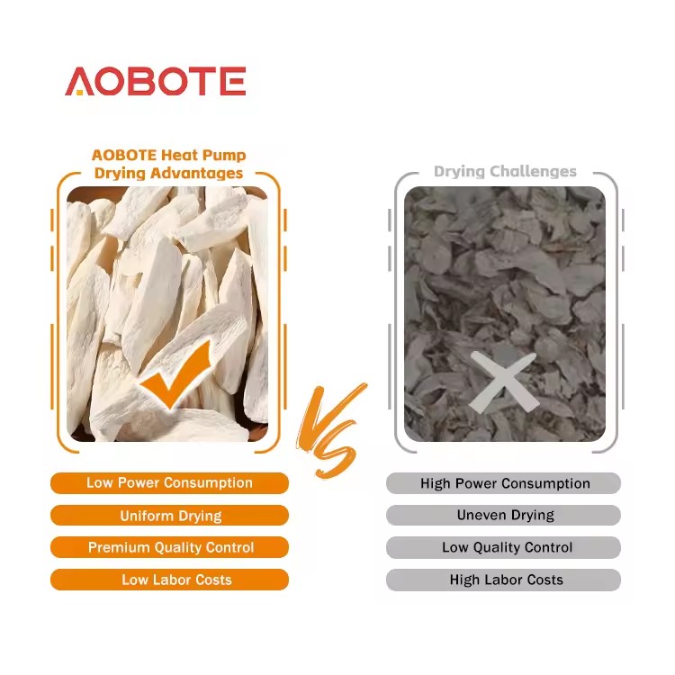 Product Importer Gallery 04 · ebe2402019
