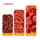 Product Importer Gallery 01 · 6f141303d0