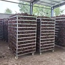 Product Importer Gallery 04 · 5900a1fe39