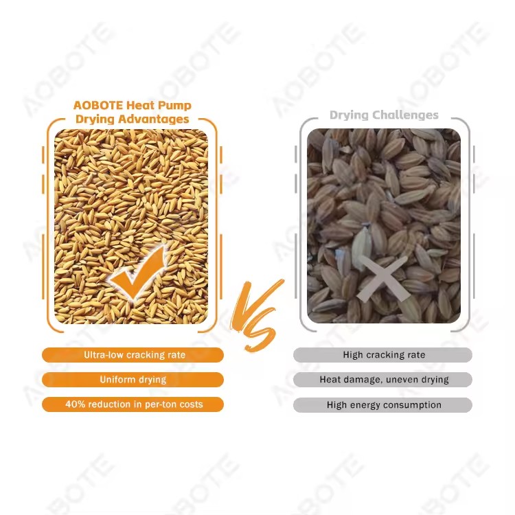 Product Importer Gallery 03 · 44e8941ec5