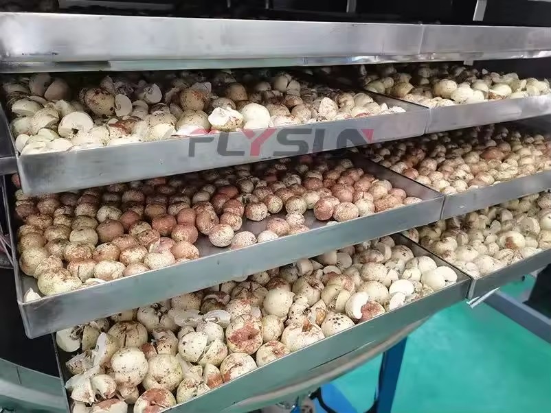 Product Importer Gallery 02 · 1f39814466