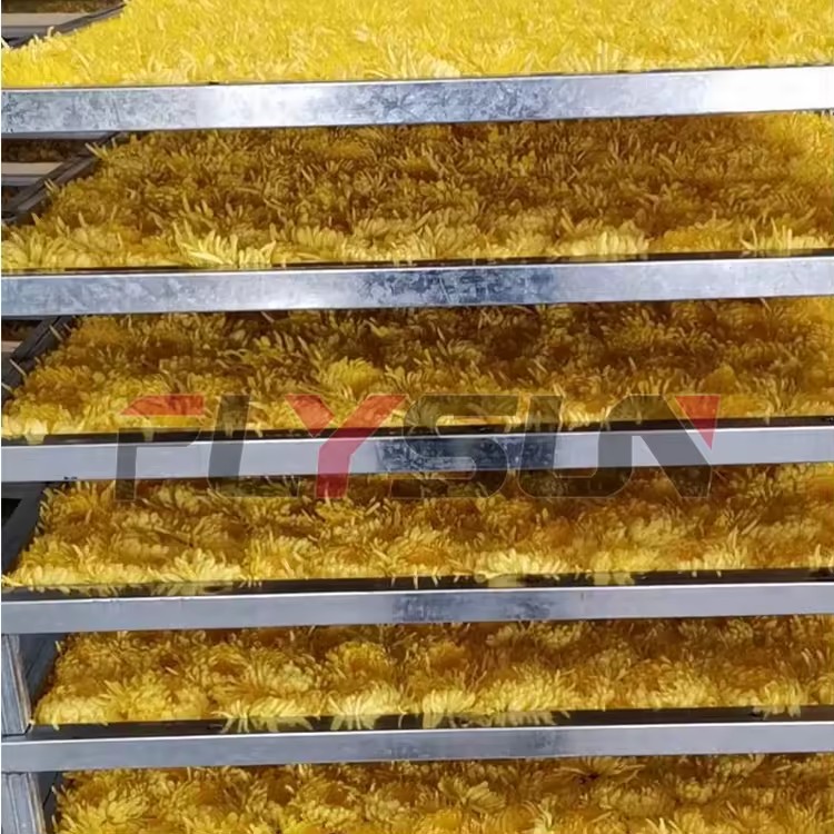 Product Importer Gallery 03 · 2a5da2f642