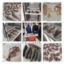 Product Importer Gallery 05 · 8860669adf