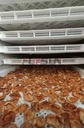 Product Importer Gallery 01 · 62fdd529fc