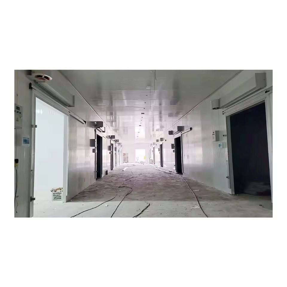 Product Importer Gallery 01 · 3433dd6dfb